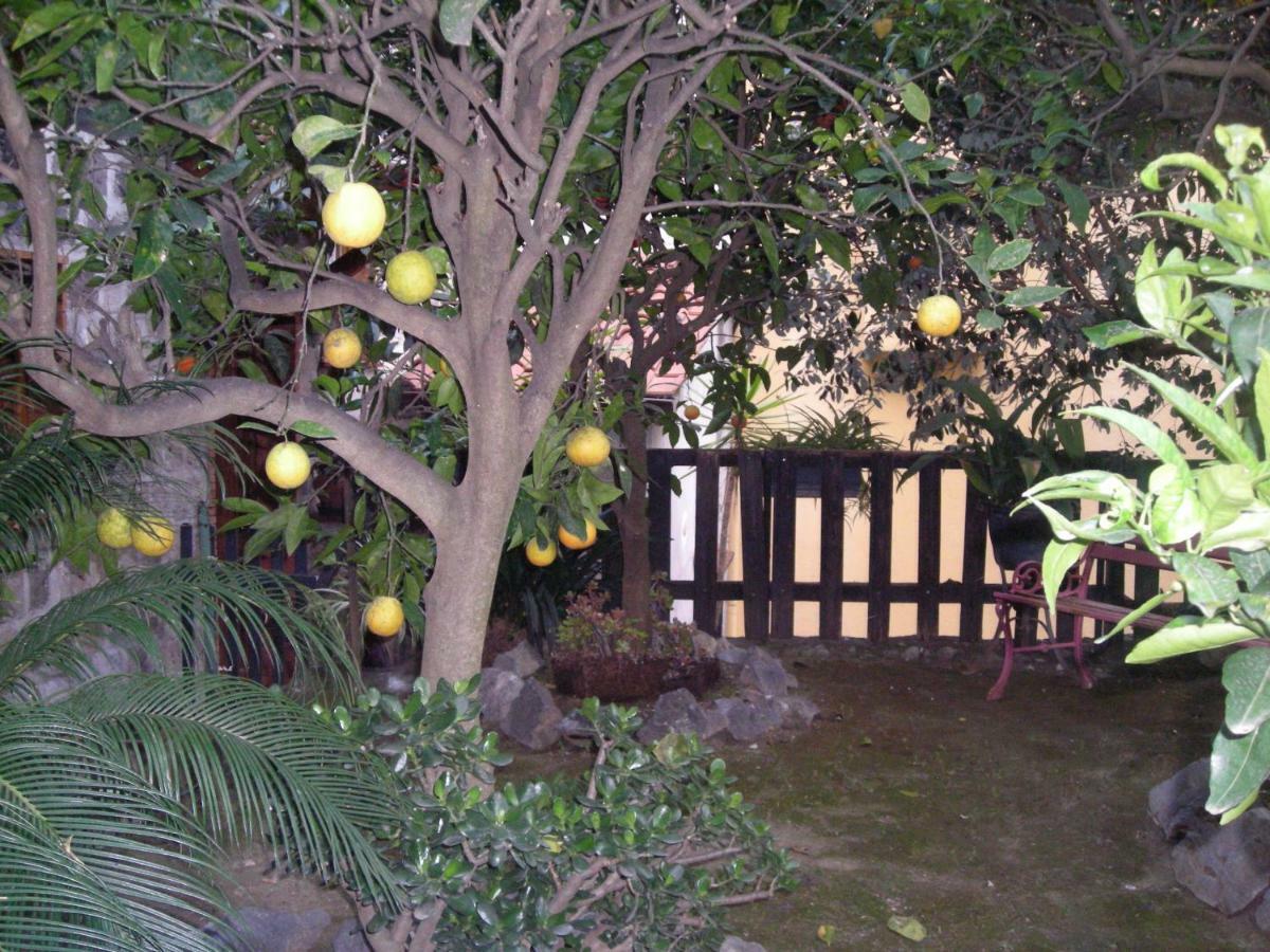 B&B L'Arcobaleno Sorrente Extérieur photo