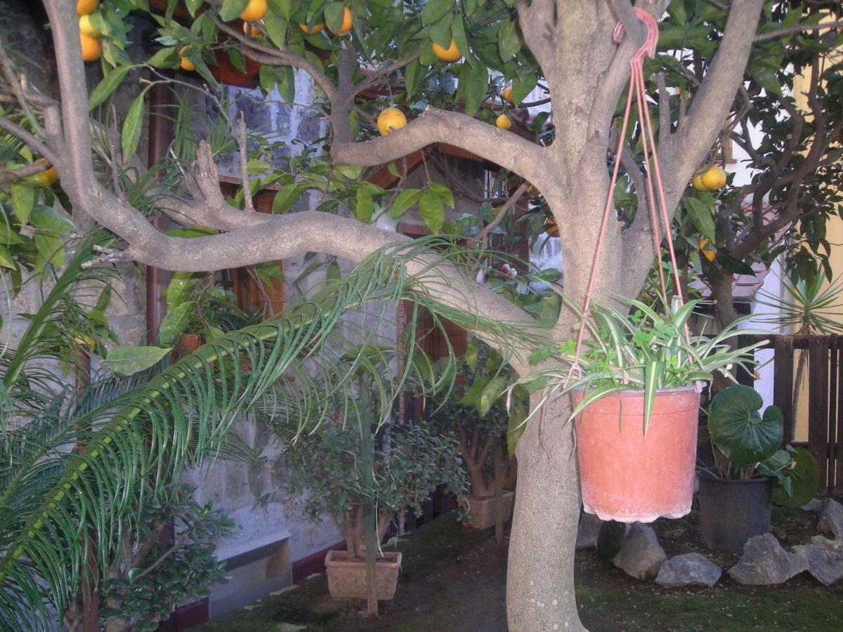 B&B L'Arcobaleno Sorrente Extérieur photo